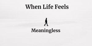 meaningless life