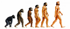 evolution