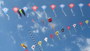 Makar Sankranti