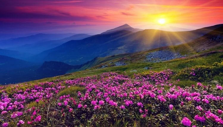 Valley of Flowers National Park, Uttarakhand