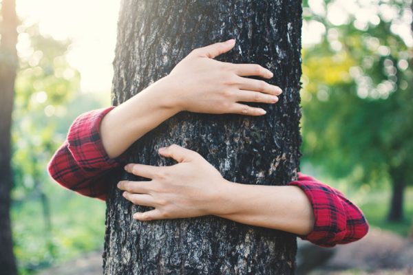 Ways to Protect Trees and Conserve Forests