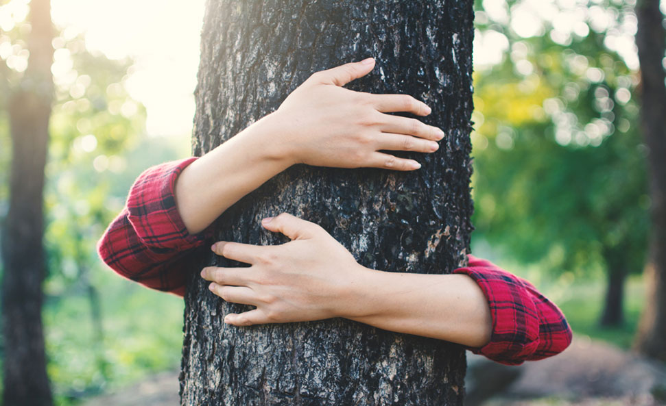 Ways to Protect Trees and Conserve Forests