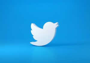 Twitter's Iconic Blue Bird