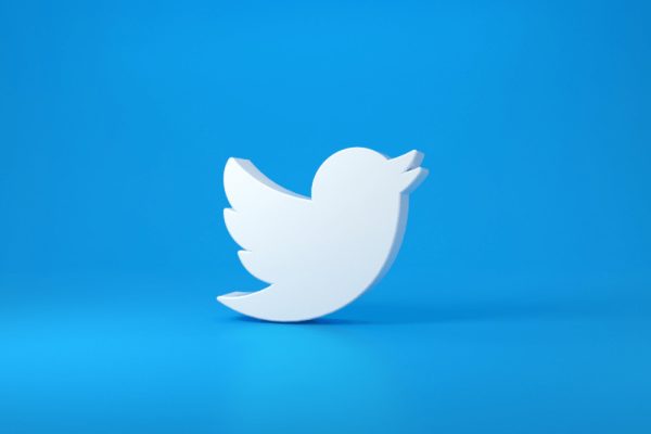 Twitter's Iconic Blue Bird