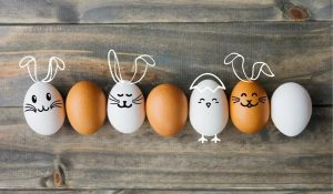 Egg