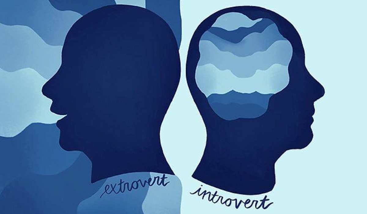 Introvert to Ambivert and Extrovert