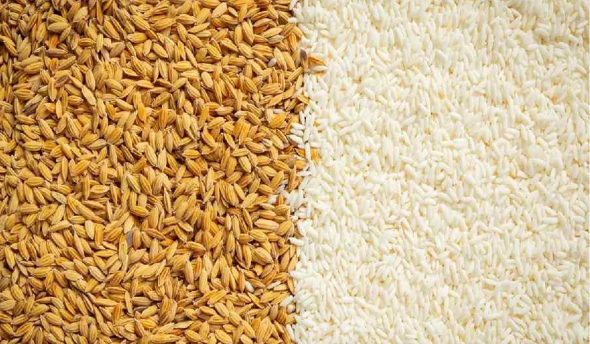 Wheat vs. Rice: Exploring Their Health Benefits and Nutritional Differences