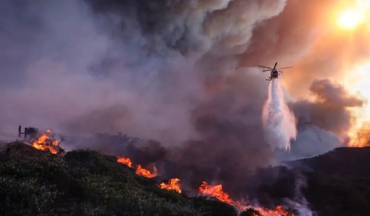 Los Angeles Wildfire