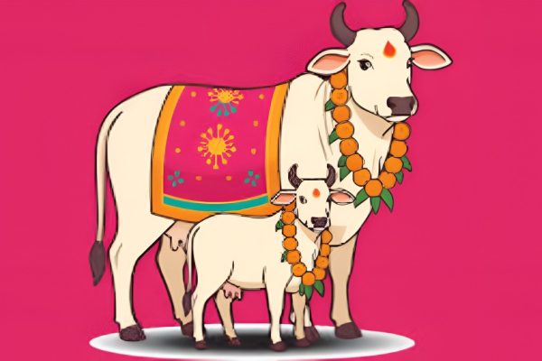 Vasu Baras in Maharashtra: The Sacred Beginning of Diwali Maharashtra
